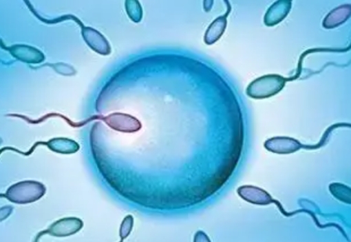 高齡去做試管嬰兒一般費(fèi)用要多少錢？