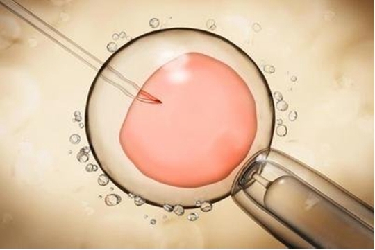  去私立醫(yī)院做試管嬰兒一般有哪些好處？