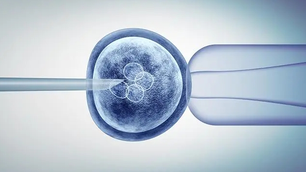 高齡女性做試管應(yīng)該怎么提高成功率？