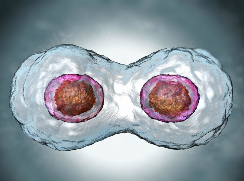 高齡做試管嬰兒需要注意哪方面的問題？