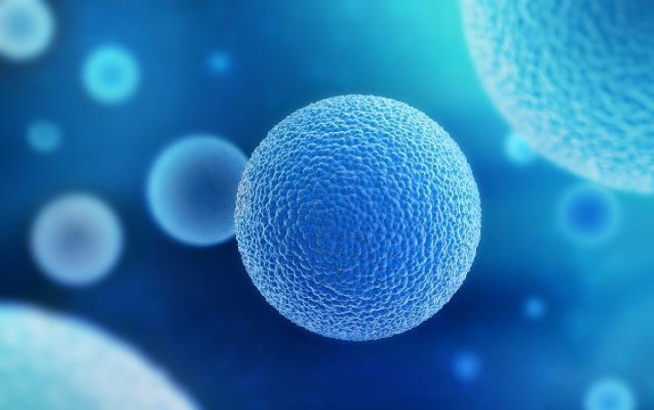  高齡試管嬰兒應(yīng)該怎么選擇試管醫(yī)院比較好？