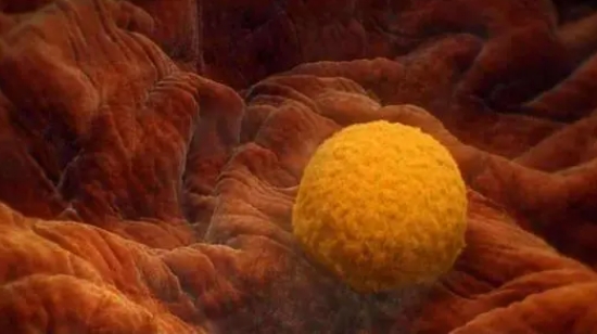 為什么私立醫(yī)院九價(jià)HPV疫苗的名額這么多？