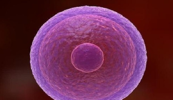 為什么做二代試管嬰兒會配對不成功？