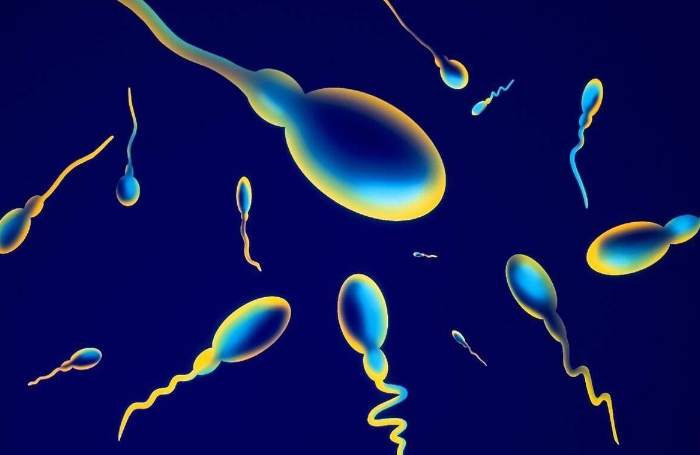 試管嬰兒拮抗劑方案會(huì)影響卵泡質(zhì)量嗎？