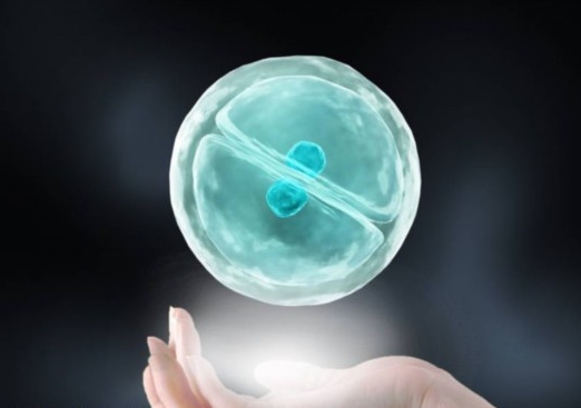 第一次做試管嬰兒要注意什么？