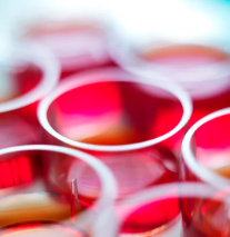 干細(xì)胞療法進(jìn)展如何？已進(jìn)入哪一期研究？