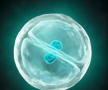 東方醫(yī)院干細胞價格對比，哪家更實惠？