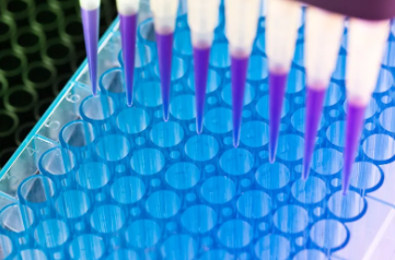 寧波干細(xì)胞價格報告，價格影響因素有哪些？