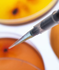 2016年干細(xì)胞治療糖尿病效果如何？如何選擇最佳治療方案？