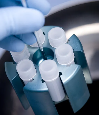 東北制藥在干細(xì)胞研究領(lǐng)域有哪些突破？