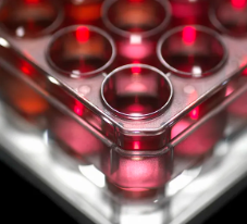 哪家醫(yī)院在干細(xì)胞再生技術(shù)方面排名領(lǐng)先？