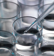 干細(xì)胞研究如何突破？造血干細(xì)胞應(yīng)用前景有哪些？