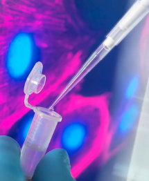 蝸米干細(xì)胞抗衰技術(shù)靠譜嗎？有哪些效果？