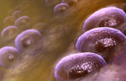 哪些醫(yī)院在研究干細(xì)胞治療腎??？費(fèi)用如何？