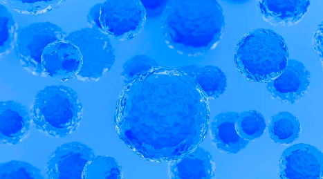 干細(xì)胞治療自閉癥有效果嗎？家長(zhǎng)應(yīng)注意哪些？