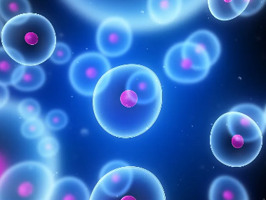 干細(xì)胞真的是造血干細(xì)胞嗎？其作用有哪些？