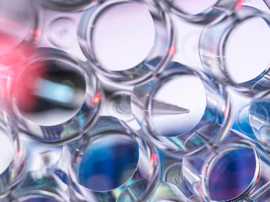 儲(chǔ)存干細(xì)胞哪個(gè)機(jī)構(gòu)好？哪家服務(wù)質(zhì)量更高？