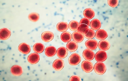 cd34干細(xì)胞提取集過程，對健康有何影響？
