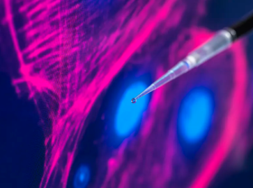 雪顏干細(xì)胞美容功效及使用方法介紹？