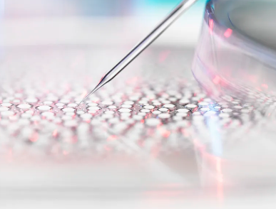 紅斑狼瘡干細(xì)胞治療原理及效果詳解？