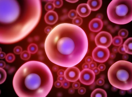 安徽干細胞培訓機構哪家強？排名及課程介紹！