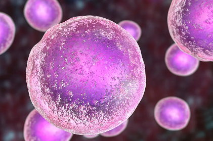 骨髓瘤干細(xì)胞提取過程圖片解析，手術(shù)難度揭秘！