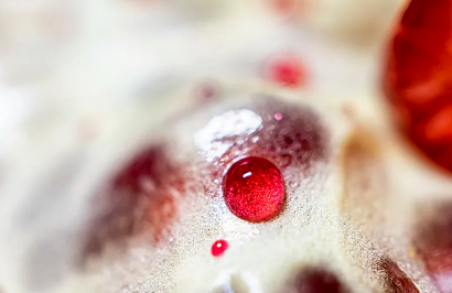 蘋果干細(xì)胞美容面膜效果如何？用戶真實(shí)反饋！