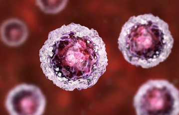 浦江人體干細(xì)胞存儲(chǔ)哪家可靠？安全性與服務(wù)對(duì)比！