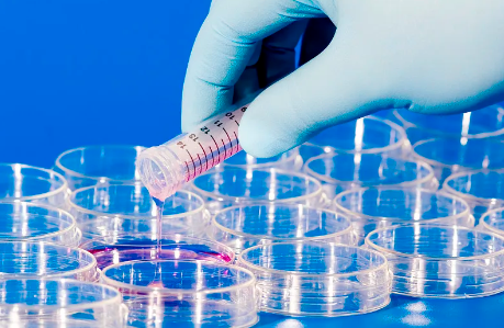 浙江湖州哪里能做干細胞移植？具體地址在哪里？