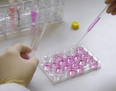 干細胞在人體內最長能存活多久？影響因素有哪些？