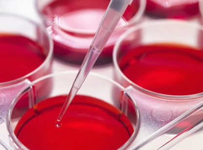 大連哪家干細(xì)胞捐贈(zèng)機(jī)構(gòu)最可靠？如何聯(lián)系？