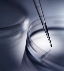 新鮮造血干細(xì)胞處理流程是怎樣的？需要注意什么？