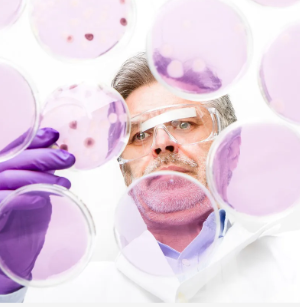 干細(xì)胞單品價格差異大，如何選擇性價比高的產(chǎn)品？