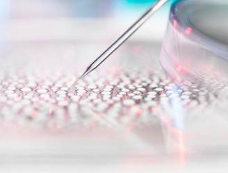 白血病干細胞移植哪家醫(yī)院技術(shù)領(lǐng)先？如何選擇最佳治療時機？