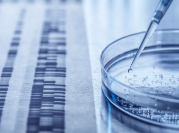 上海哪家干細胞免疫機構醫(yī)院最受歡迎？