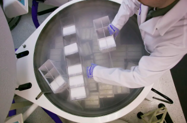 間充質(zhì)干細(xì)胞成骨分化過程詳解。