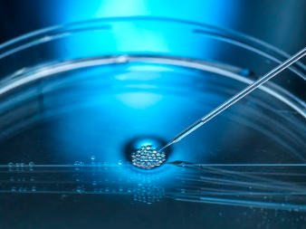 植物干細胞美容功效是否真的顯著？