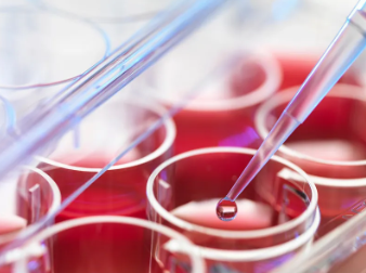 張愛民干細(xì)胞療法的效果與評價如何？