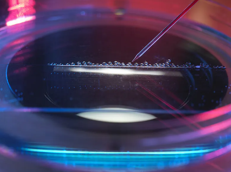 濰坊哪家干細(xì)胞捐贈(zèng)機(jī)構(gòu)值得信賴？