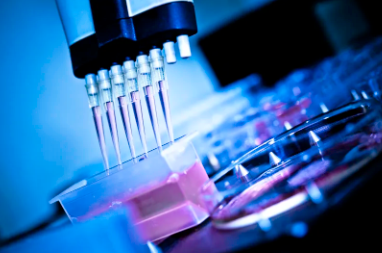 鹽城干細(xì)胞市場(chǎng)價(jià)格報(bào)告及趨勢(shì)分析。