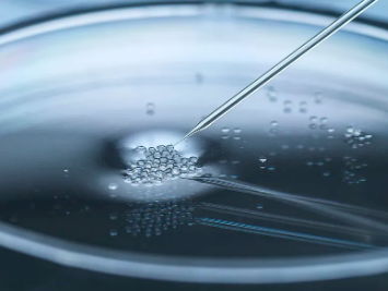 國(guó)際醫(yī)學(xué)研究如何應(yīng)用干細(xì)胞技術(shù)？