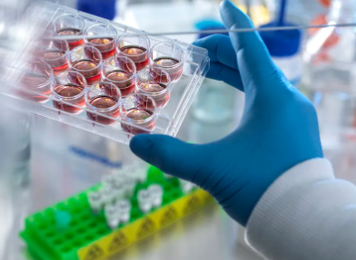 打干細(xì)胞對腦出血偏癱患者有效果嗎，可信嗎？