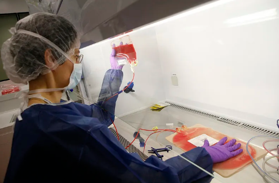 造血干細(xì)胞移植進(jìn)倉(cāng)流程解析，需要注意什么？