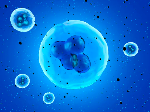 乳牙干細(xì)胞提取，功效與作用及價格一覽！