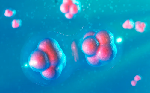 干細胞抗衰老效果如何，真的靠譜嗎？