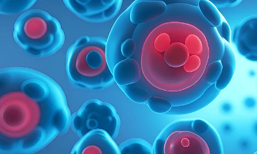 天津牙髓干細(xì)胞有哪些作用？應(yīng)用前景如何？