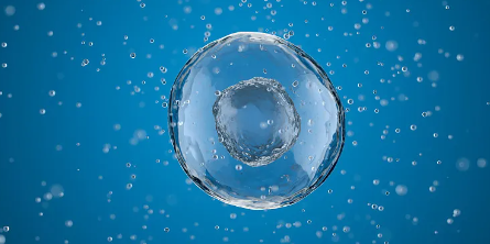 江蘇哪家機構提供優(yōu)質(zhì)的造血干細胞存儲服務？