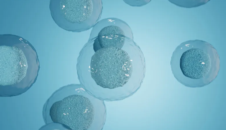 干細(xì)胞研究流程是怎樣的？費(fèi)用大概是多少？