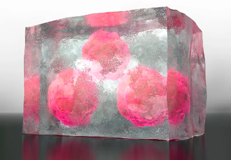 干細胞最新突破消息有哪些？對醫(yī)學領(lǐng)域有何影響？