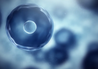 肝硬化干細(xì)胞移植效果如何？與肝硬化治療有哪些關(guān)聯(lián)？